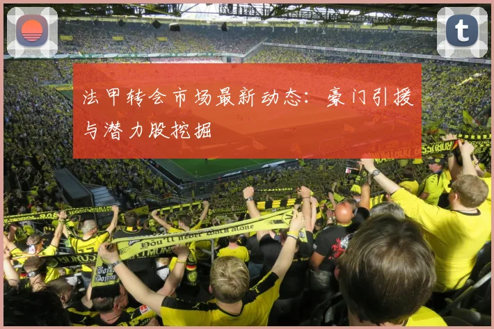 法甲转会市场最新动态:豪门引援与潜力股挖掘
