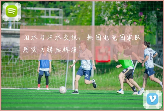 泪水与汗水交织,韩国电竞国家队用实力铸就辉煌!