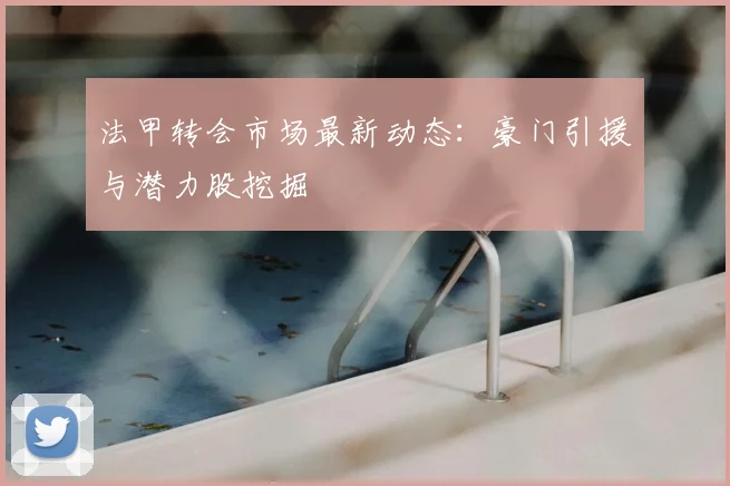 法甲转会市场最新动态:豪门引援与潜力股挖掘